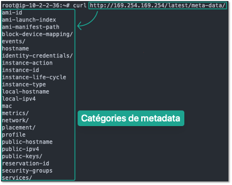 Exemple de catégories de metadata accédées au travers du service IMDSv1