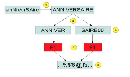 schema hash LM